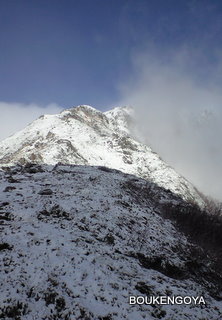 ファイル名: CA3A0113.jpg
ファイルサイズ: 20.2KB CA3A0113
